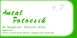 antal potocsik business card